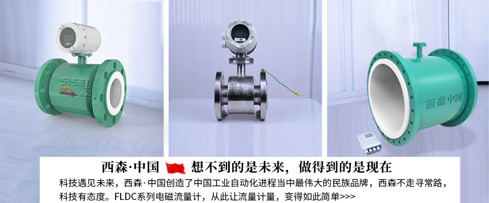 西森FLDC污水電磁流量計